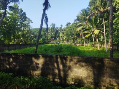 Commercial/ Residential Plot for Sale at Kottarakkara, Kollam