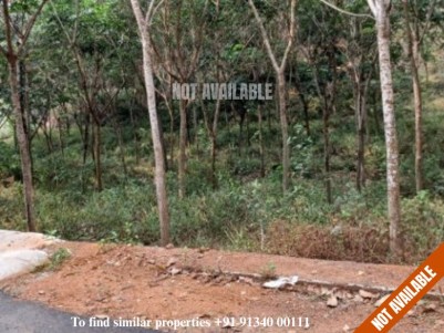 Land for Sale at Ezhakkaranad, Vettithara, Ernakulam