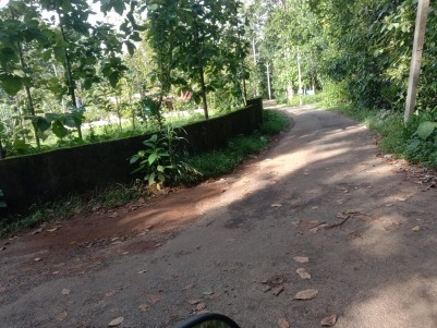 Land for Sale at Cherpunkal, Pala, Kottayam