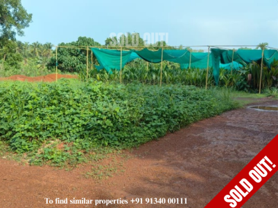 Land for Sale at Periya, Kasargod