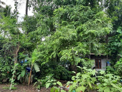 Land for Sale at Cheriyapilly, North Paravur, Ernakulam