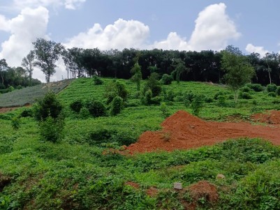 Land for Sale at Maneed, Ernakulam