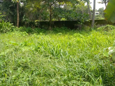 Land for Sale in Ambedkar Road, Vennala, Ernakulam