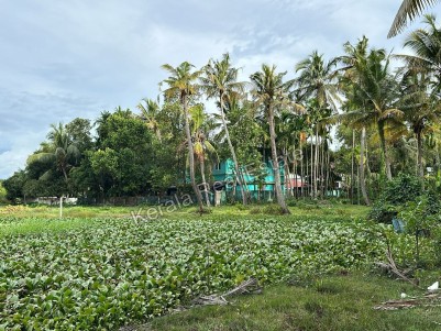 Land for Sale at Cheppanam, Ernakulam