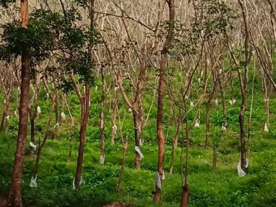 Land for Sale at Iritty, Kannur