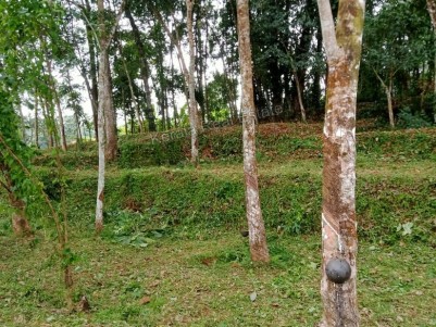 Land for Sale at Manarcadu, Kottayam
