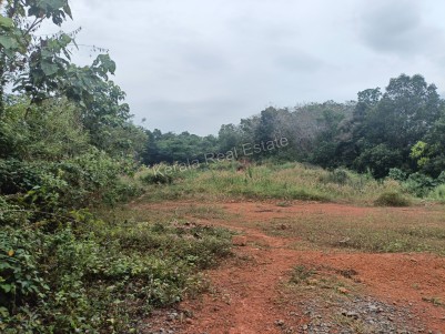 Land for Sale at Sreekandapuram, Kannur