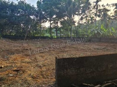 Land for Sale at Chottanikkara, Ernakulam