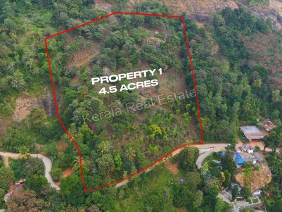 Land for Sale at Adimaly, Near Munnar, Idukki