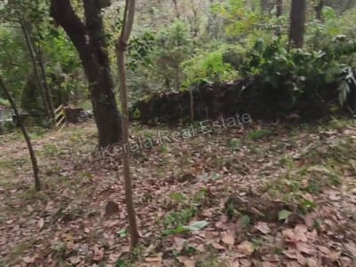 Land for Sale at Neriamangalam, Ernakulam