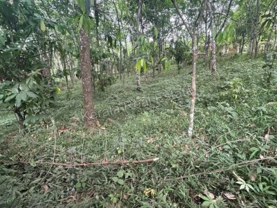 Land for Sale at Mankulam, Idukki