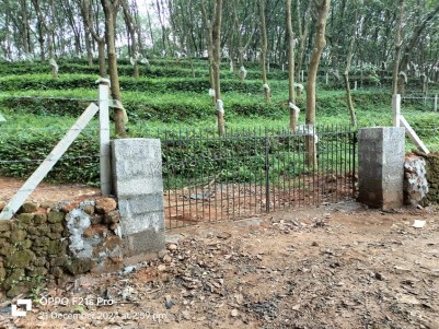 Rubber Plantation for Sale at Kothamangalam, Ernakulam