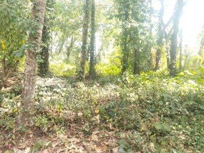 Land for Sale at Alanallur, Palakkad