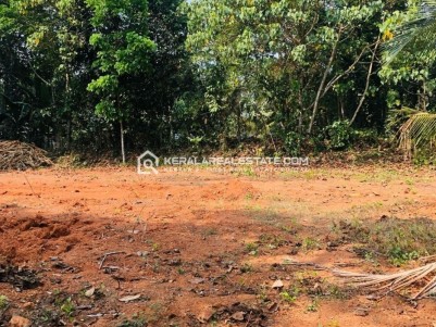 Land for Sale at Choorakode, Kizhakkambalam, Ernakulam