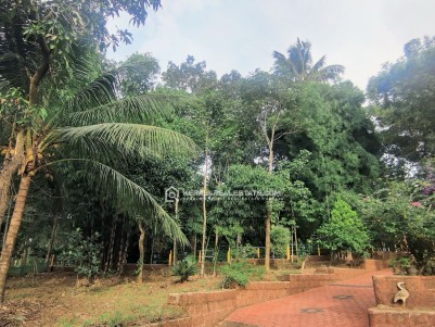 Land for Sale at Kenichira, Wayanad