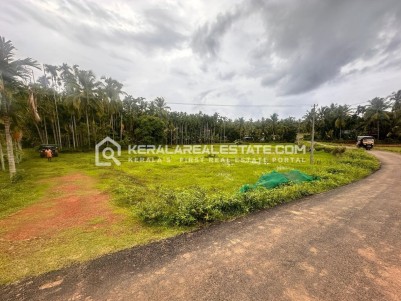 Land for Sale at Vadakkekara, Periya, Kasargod