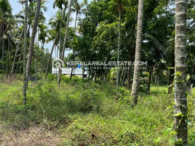 Land for Sale in Irinjalakuda, Thrissur