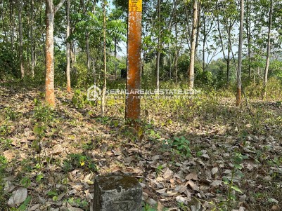Waterfront Land for Sale at Thodupuzha, Idukki