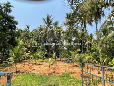 Land for Sale at Parappukkara, Thrissur
