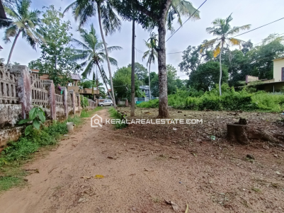 Residential Land for Sale in Puthiyacavu, Mavelikkara, Alappuzha