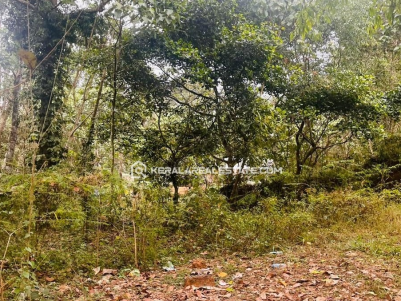 Land for Sale in Mulanthuruthy, Ernakulam