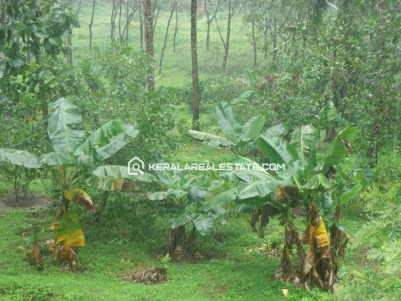 Land for Sale in Vilamana, Iritty, Kannur