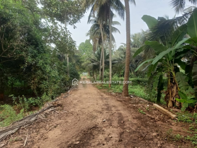 Coconut Farm / Residential Land for Sale in Kozhinjampara, Palakkad