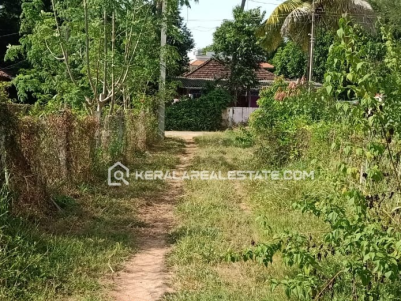 Land for Sale in Koduvayoor, Palakkad