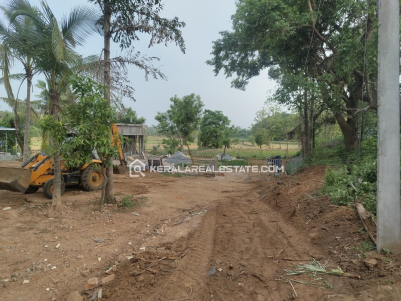 Land for Sale in Thenkurissi, Palakkad