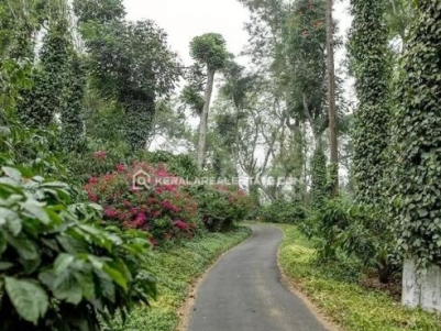 Coffee Plantation for Sale in Coorg, Karnataka