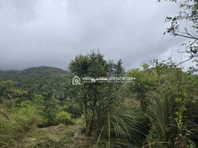 Land Suitable for Resort/ Homestay for Sale in Korome, Wayanad