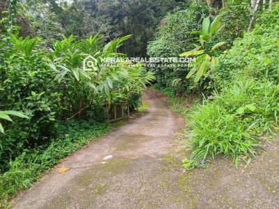 Land for Sale Near Munnar, Idukki 