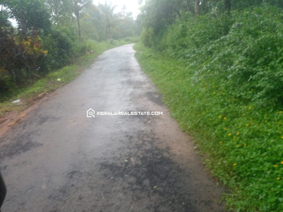 Plot for Sale in Mananthavady, Wayanad 