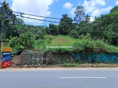 Tar road Frontage Land for Sale in Pathanamthitta