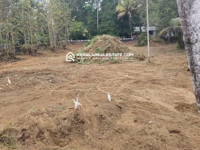 Road-Frontage Land for Sale in Athani, Ernakulam 
