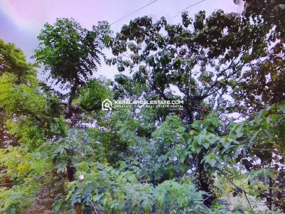 Land for Sale in Kadayiruppu, Kolenchery, Ernakulam 