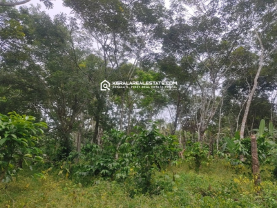 Land for Sale in Alathoor, Pulpally, Wayanad 