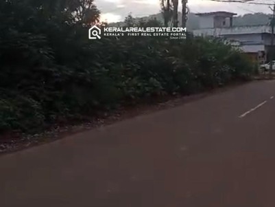 Prime Land for Sale in Anakkara (8th Mile) Kumily, Idukki 