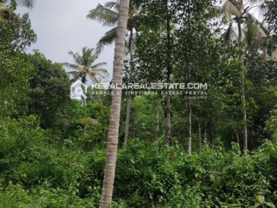 Premium Land for Sale in Appad, Meenangadi, Wayanad 