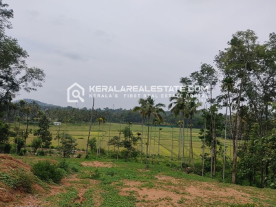 Plot for Sale in Thrikkaipatta, Wayanad