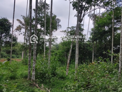 Land for Sale in Nelliyambam, Wayanad