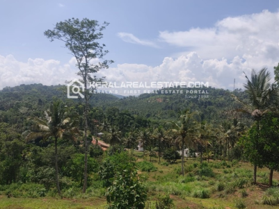 Premium Land for Sale in Valliyoorkavu, Mananthavady, Wayanad