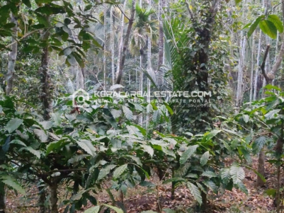 Land for Sale in Kallonikunnu, Wayanad
