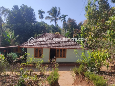 Land with House for Sale in Kenichira, Wayanad 