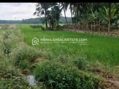 Agricultural Land for Sale in Puthucode, Thekkepotta, Palakkad