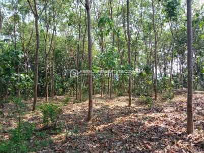 Prime Land for Sale in Vettickal, Ernakulam 