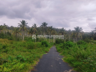 Premium 4 Acre Land in Poothadi, Wayanad