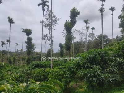 2.75 Acre Scenic Plot for Sale in Kenichira, Wayanad