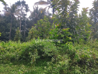 Prime 4 Acre Land for Sale in Poothadi, Wayanad