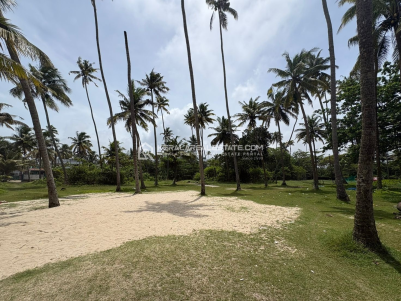 Seaview Land for Sale in Cherthala, Alappuzha